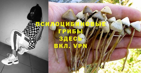 кокаин перу Заволжье