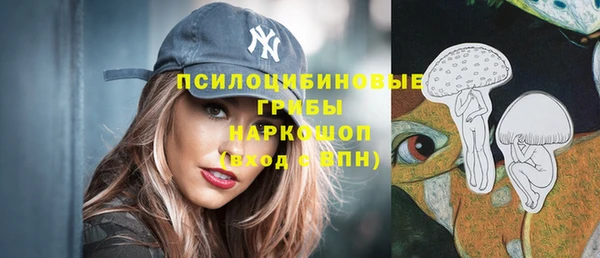 apvp Заводоуковск