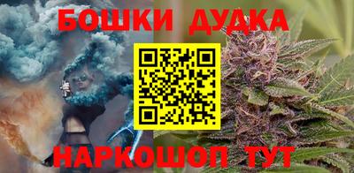 дживик Славгород