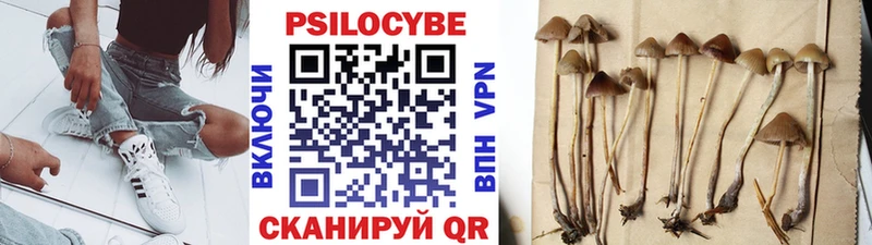 Галлюциногенные грибы Cubensis  купить   Учалы 
